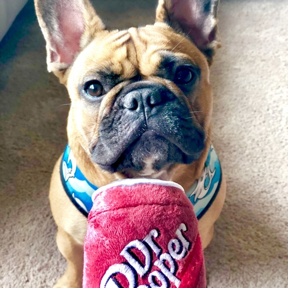 Meet your Posher, Tracy - Picture 12 of 15